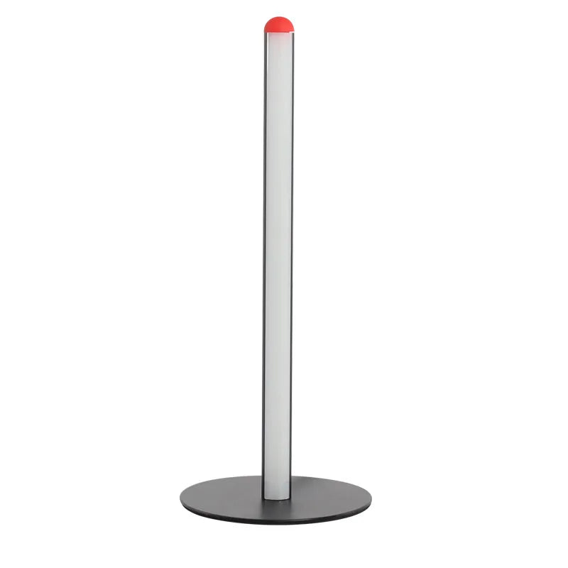 LED Floor Lamp